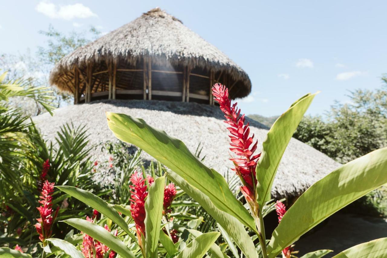 Dreamsea Surf Resort Nicaragua Сан Хуан дел Сур Екстериор снимка